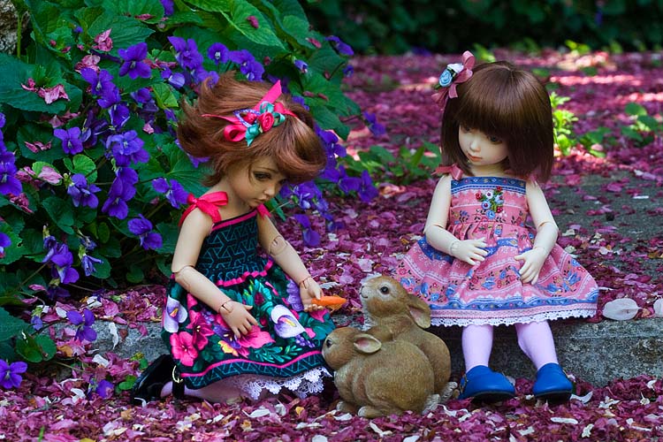 Feeding the Bunnies